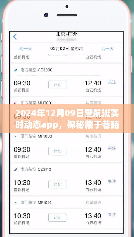 探秘航班實(shí)時(shí)動(dòng)態(tài)小天地，2024年12月9日的奇妙航班查詢(xún)之旅