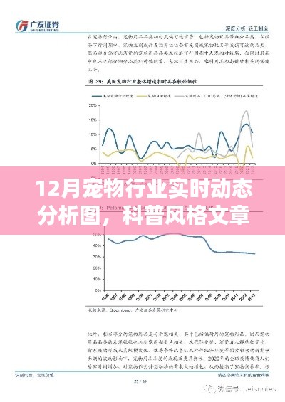 揭秘寵物行業(yè)趨勢，12月寵物行業(yè)實時動態(tài)科普分析圖