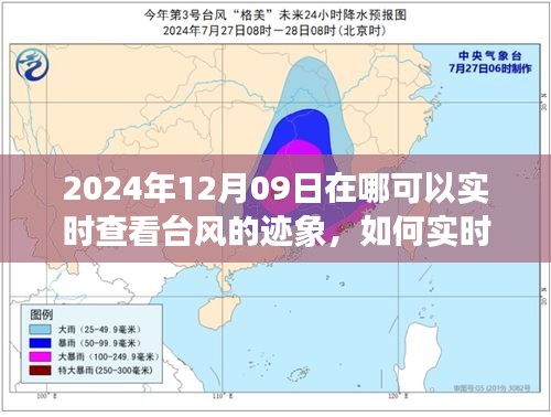 2024年12月09日臺風跡象實時查看指南，全方位教程，適用于初學者與進階用戶