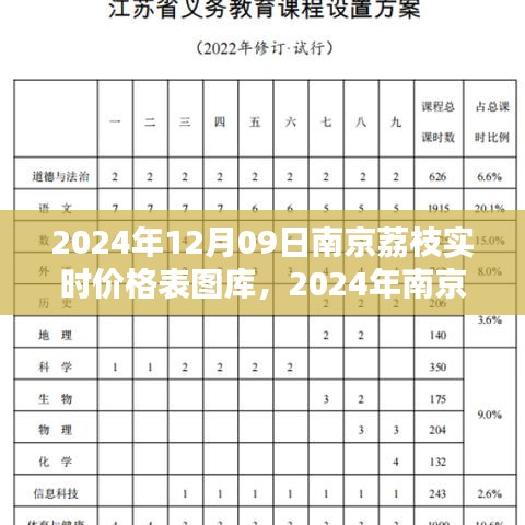 2024年南京荔枝實時價格表圖庫制作指南，從初學(xué)者到進階用戶全攻略