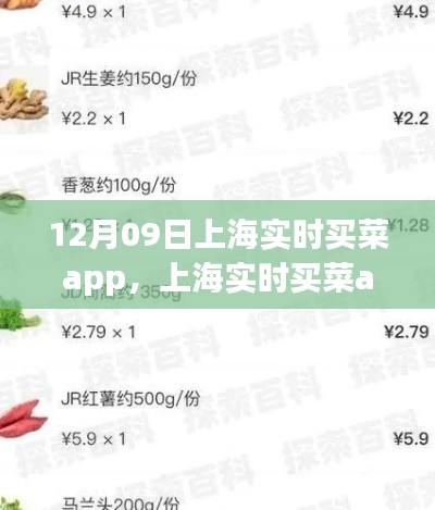 上海實時買菜app使用指南，從初學者到進階用戶的全方位指南（12月09日版）