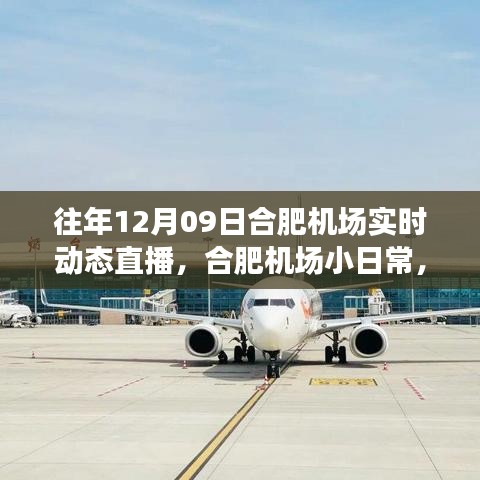 云端下的溫馨相遇，合肥機場12月9日實時動態(tài)直播小日常