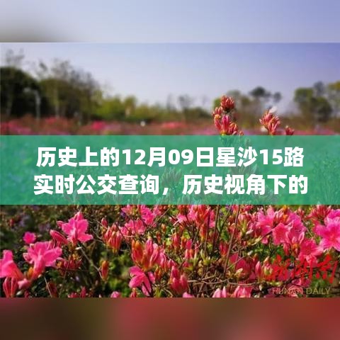 歷史視角下的星沙公交發(fā)展，星沙公交查詢系統(tǒng)深度探討與實(shí)時(shí)公交查詢服務(wù)解析（附，歷史上的星沙公交變遷）