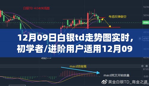 12月09日白銀TD走勢(shì)圖實(shí)時(shí)分析指南，適合初學(xué)者與進(jìn)階用戶