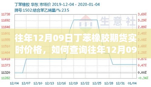 如何查詢往年12月09日丁苯橡膠期貨實(shí)時(shí)價(jià)格，詳細(xì)步驟及最新價(jià)格信息指南