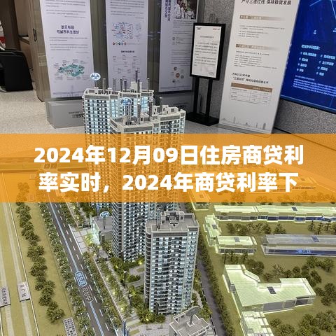 商貸利率下的心靈之旅，與自然美景的不解之緣（2024年實(shí)時(shí)報(bào)道）