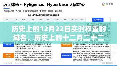 探尋實時權重域名，歷史上的十二月二十二日回顧與揭秘