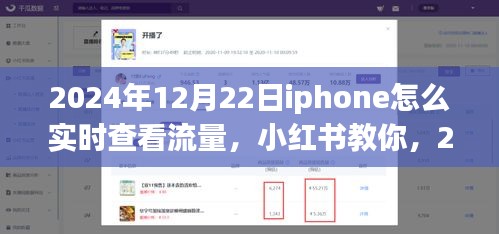 2024年12月22日iPhone實(shí)時(shí)查看流量教程，小紅書教你如何輕松監(jiān)控流量消耗