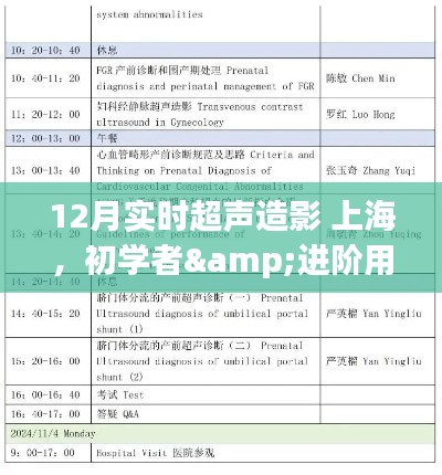 12月上海實(shí)時(shí)超聲造影操作全攻略，從初學(xué)者到進(jìn)階用戶的必備指南