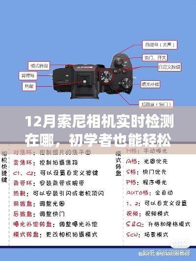 初學(xué)者也能輕松掌握！12月索尼相機(jī)實(shí)時(shí)檢測(cè)功能使用指南