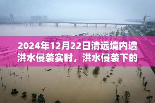 洪水侵襲下的清遠(yuǎn)秘境，美食奇遇與實(shí)時(shí)報(bào)道