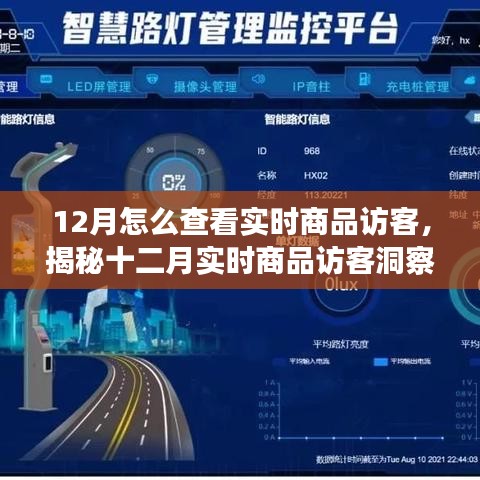 揭秘十二月實(shí)時(shí)商品訪客洞察，洞悉訪客動(dòng)態(tài)與商業(yè)進(jìn)展的秘訣