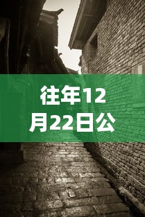 探秘寶藏店，公路云實時監(jiān)控軟件下載新體驗，12月22日實時下載探秘小巷深處之旅