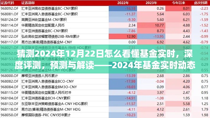 揭秘2024年基金實時動態(tài)洞察系統(tǒng)，深度評測、預測與解讀的未來趨勢