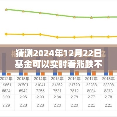 2024年12月22日基金實時漲跌預(yù)測攻略，掌握未來走勢，初學(xué)者與進階用戶必讀