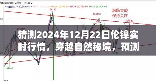 倫鎳行情預(yù)測與心靈之旅，穿越自然秘境，探索2024年倫鎳實(shí)時行情的奇妙交織