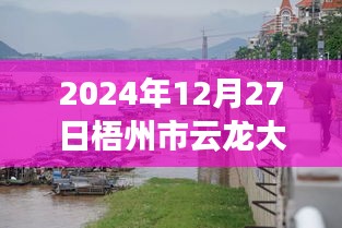 梧州市云龍大橋?qū)崟r(shí)水位監(jiān)測(cè)指南，以初學(xué)者和進(jìn)階用戶視角看水位監(jiān)測(cè)