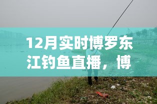 博羅東江畔的釣魚(yú)盛宴，12月實(shí)時(shí)釣魚(yú)直播開(kāi)啟！