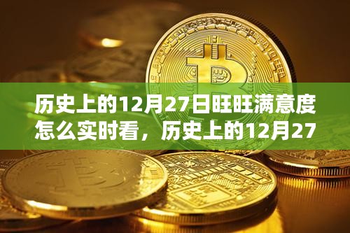 歷史上的12月27日旺旺滿意度實(shí)時(shí)查看指南，初學(xué)者與進(jìn)階用戶必看