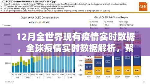 全球疫情實時數(shù)據(jù)解析，聚焦12月疫情動態(tài)與動態(tài)變化