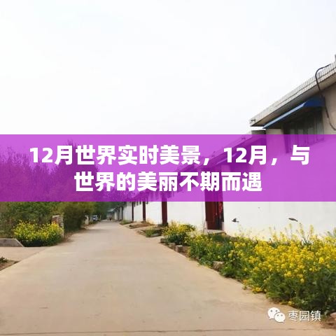 12月世界美景盡收眼底，與全球美麗的不期之約