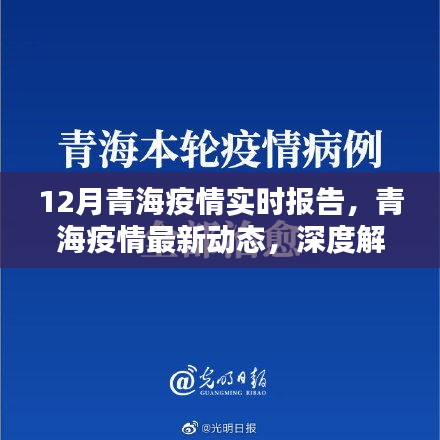 青海疫情深度解析，十二月實(shí)時(shí)報(bào)告與最新動(dòng)態(tài)