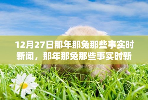 那年那兔時(shí)事新聞追蹤解讀指南，從初學(xué)者到進(jìn)階用戶的步驟指南