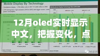 12月OLED中文實(shí)時(shí)顯示，把握變化，點(diǎn)亮未來(lái)——展現(xiàn)你的中文魅力