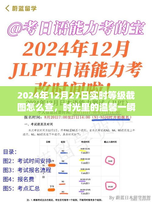 2024年12月27日等級截圖揭秘，時光溫馨一瞬，友誼見證時刻