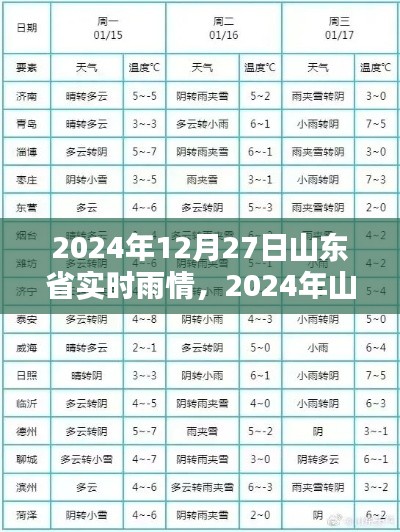 山東省實時雨情分析報告，最新雨情動態(tài)（2024年12月27日）