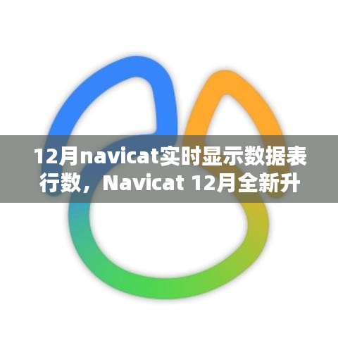 Navicat 12月升級亮點，實時數(shù)據(jù)表行數(shù)顯示，科技助力數(shù)據(jù)管理便捷性