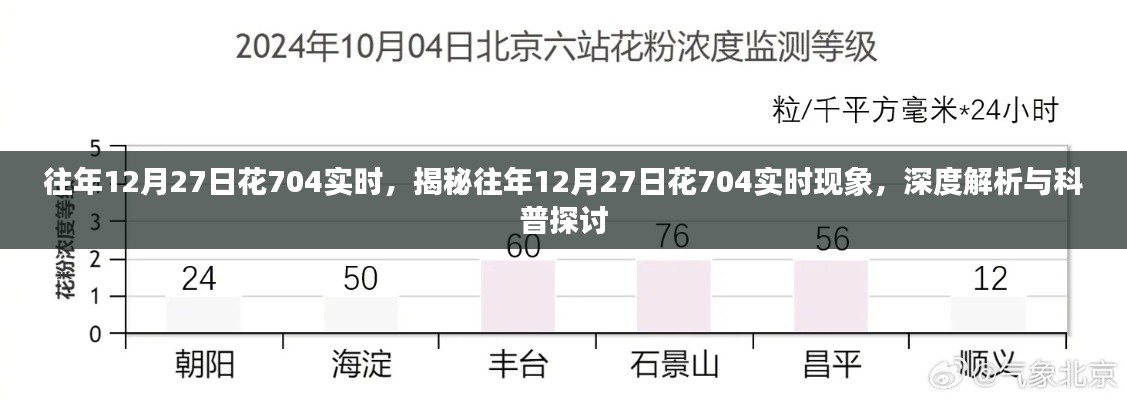 揭秘與深度解析，往年12月27日花704實時現(xiàn)象探討