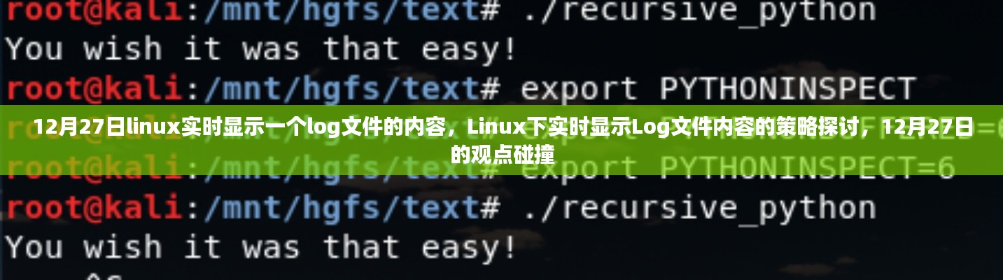 Linux下實(shí)時顯示Log文件內(nèi)容的策略探討，觀點(diǎn)碰撞與實(shí)時更新技術(shù)