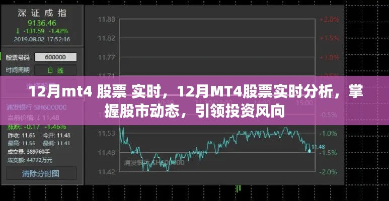 12月MT4股票實(shí)時(shí)分析，掌握股市動態(tài)，引領(lǐng)投資風(fēng)向標(biāo)