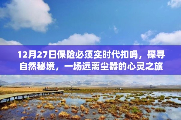 保險代扣與心靈之旅，探尋自然秘境的遠離塵囂之旅