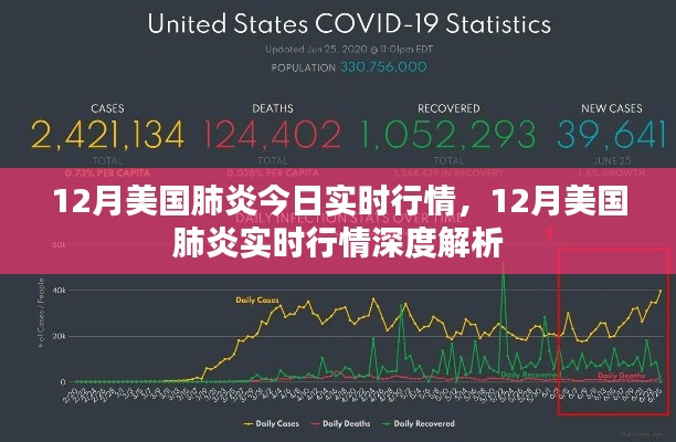 12月美國肺炎實時行情深度解析與最新動態(tài)