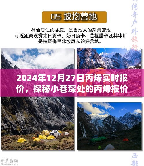 探秘丙烯報價秘境，揭秘2024年12月27日丙烯實時行情與報價深度解析