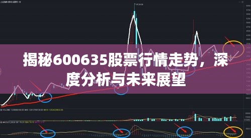 揭秘600635股票行情走勢(shì)，深度分析與未來(lái)展望