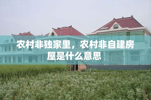 農村非獨家里，農村非自建房屋是什么意思 