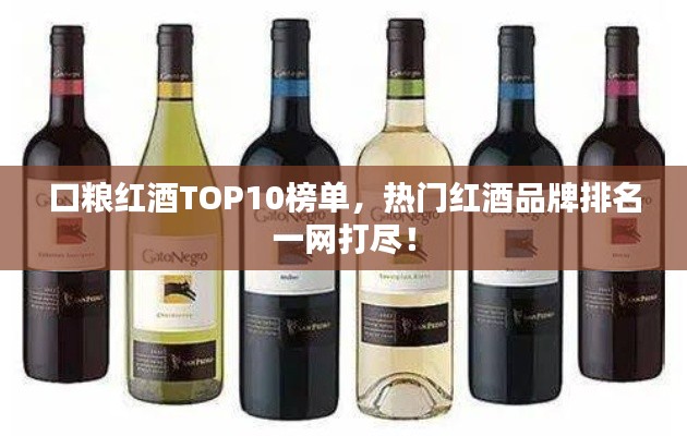 口糧紅酒TOP10榜單，熱門紅酒品牌排名一網(wǎng)打盡！