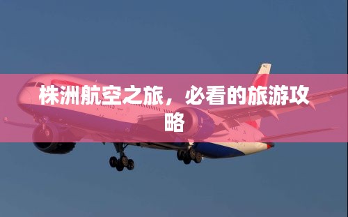 株洲航空之旅，必看的旅游攻略