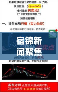 宿錦新聞聚焦時事熱點，解讀地方發(fā)展新動態(tài)