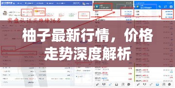 柚子最新行情，價格走勢深度解析