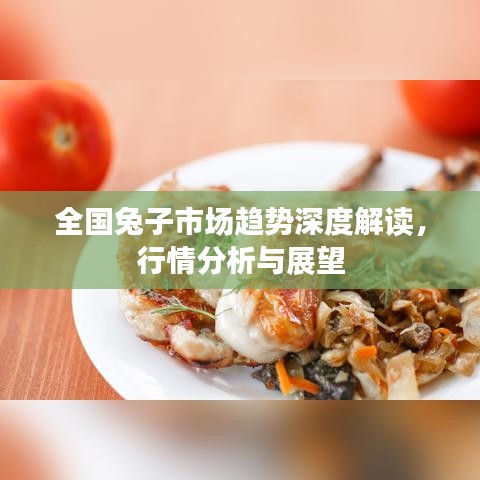 全國兔子市場趨勢深度解讀，行情分析與展望