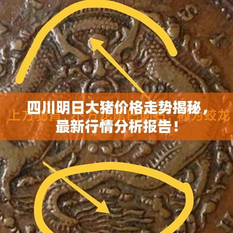 四川明日大豬價(jià)格走勢(shì)揭秘，最新行情分析報(bào)告！