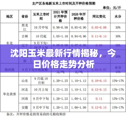 沈陽(yáng)玉米最新行情揭秘，今日價(jià)格走勢(shì)分析