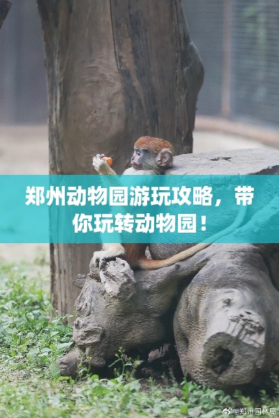 鄭州動物園游玩攻略，帶你玩轉(zhuǎn)動物園！