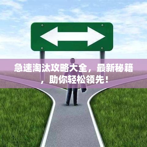 急速淘汰攻略大全，最新秘籍，助你輕松領(lǐng)先！