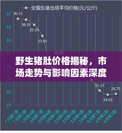 野生豬肚價(jià)格揭秘，市場走勢與影響因素深度解析