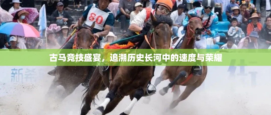 古馬競技盛宴，追溯歷史長河中的速度與榮耀